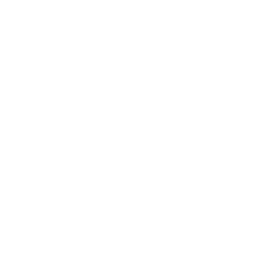 The Mature Dog The Mature Dog